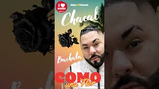 CHACAL - COMO UNA FLOR (BACHATA)