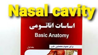 جوف بینی /Nasal cavity