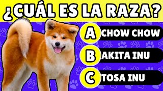 Adivina la RAZA DE PERRO 🐶 ¿Cuántas TE SABES? ➡️ [Dificultad PROGRESIVA] by Zona Perros 1,948 views 6 months ago 10 minutes, 37 seconds