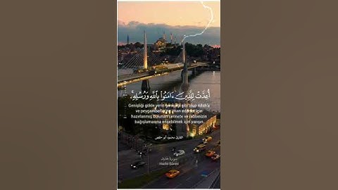 القارئ محمود أبو حفص