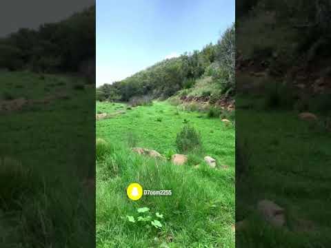 والريح تجري والسحاب