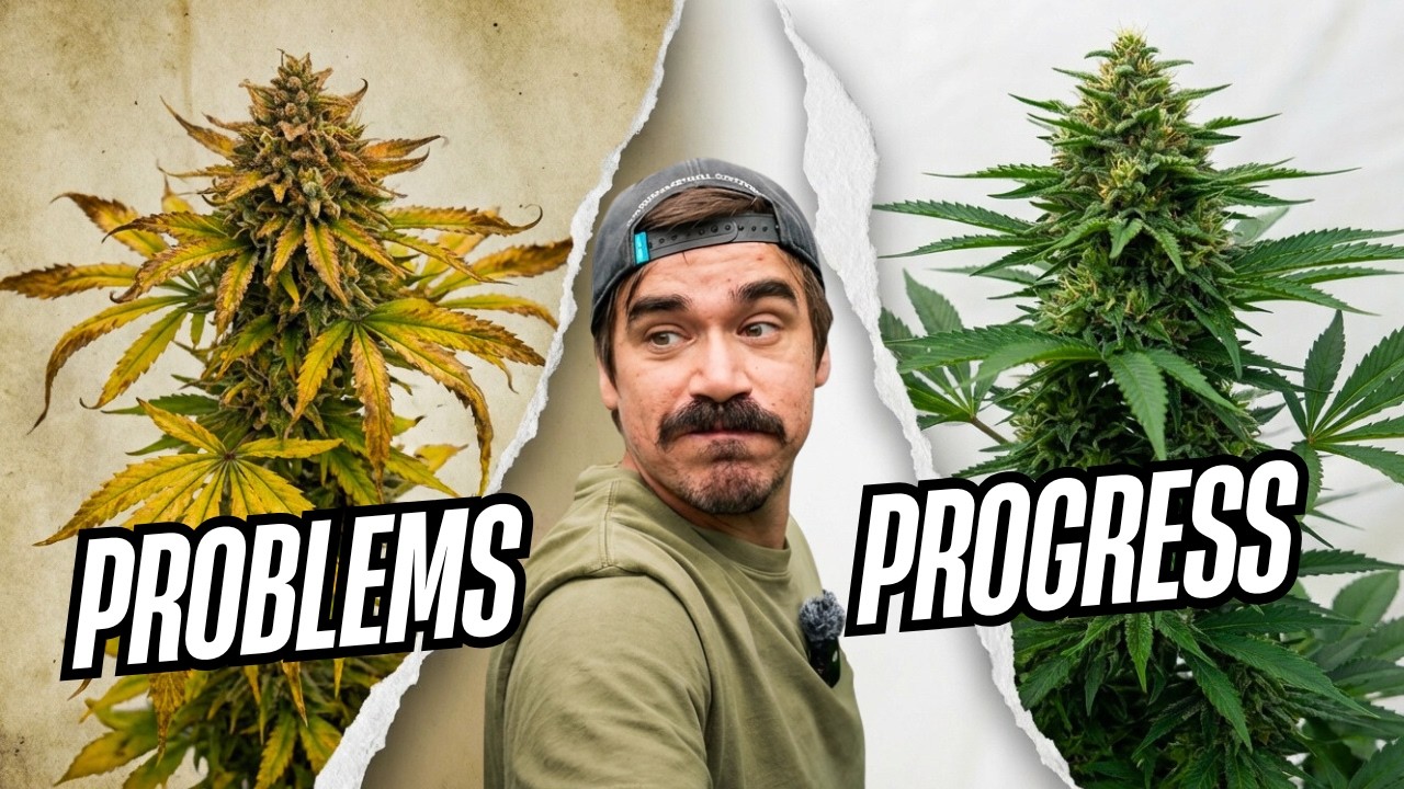 Indoor Problems, Greenhouse Progress | Behind the Grow