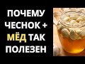ЧЕСНОК И МЁД ПО УТРАМ, ВОТ В ЧЁМ СИЛА ВАШЕГО ЗДОРОВЬЯ. ЗДОРОВЬЕ ПОЖИЛЫХ
