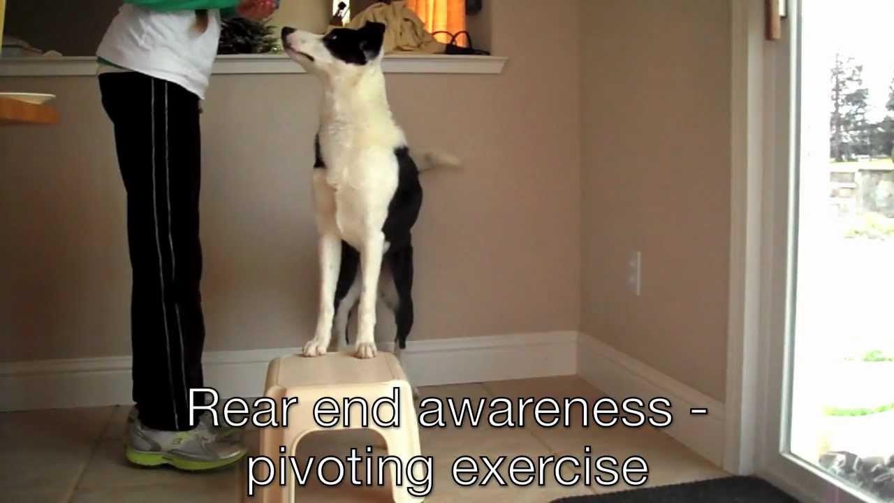 Tessa's rear end awareness - pivoting exercise - YouTube