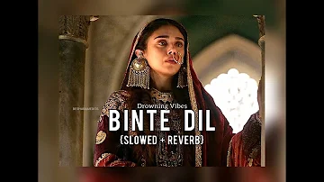 Binte Dil - Padmawat | {Slowed + Reverb} | Drowning Vibes