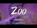 Shakira Zoo Instrumental