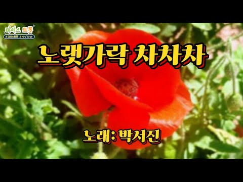 노랫가락차차차노래가사큰글자자막