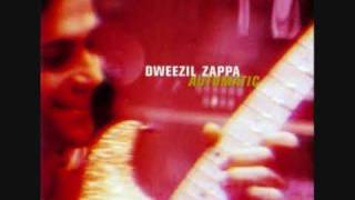 Dweezil Zappa Purple Guitar