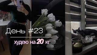 ДНЕВНИК ПОХУДЕНИЯ | худею на 20кг | День 23