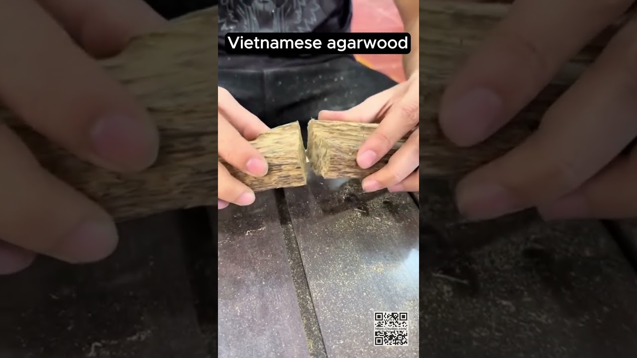 Discover the hidden beauty of Vietnamese Agarwood! 🇻🇳 This premium piece reveals a heart of dark,