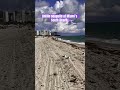 Chillin seagulls at Miami’s South Beach. #southbeach #seagulls #birds #miamibeach