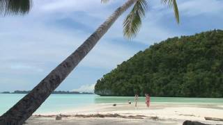 PALAU:  A Taste of Paradise