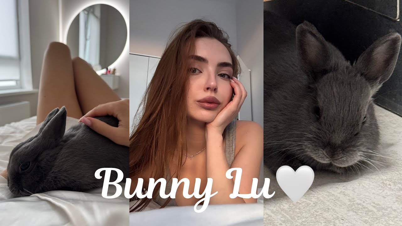 мой кролик🐰ответы на вопросы | уход | особенности содержания | часть 2