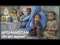 UN's Afghanistan aid appeal is largest ever for single country