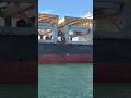 GREBE ARROW 🚢穿裙裙拍船船