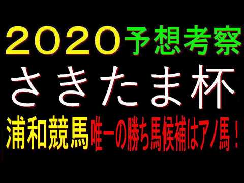 さきたま杯（浦和競馬）2020予想考察｜唯一の勝ち馬候補はアノ馬！