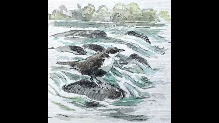 John Busby: nature journaling inspiration
