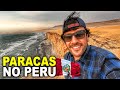 VISITANDO A RESERVA DE PARACAS | LUGAR INÓSPITO | PERU #14