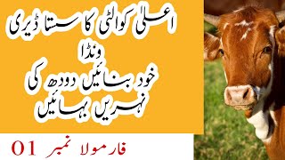 How To Make Wanda For Milking Cow And Buffalo | Ration Formula For Dairy Animals At Home.