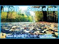 【癒しの音】雨の音。美しい雨粒の音。心が落ち着く自然の音。Sound of rain. Calming and beautiful sound of raindrops.