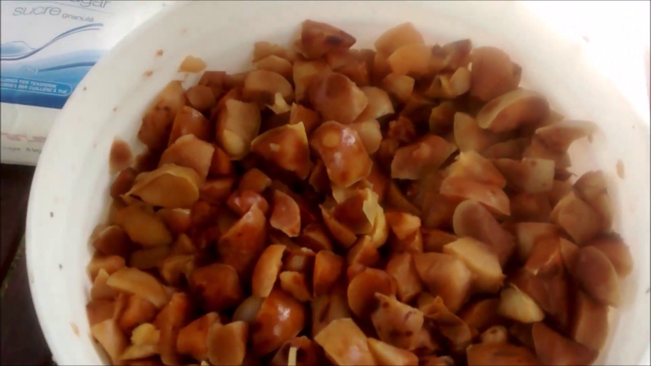 Apple Wine YouTube