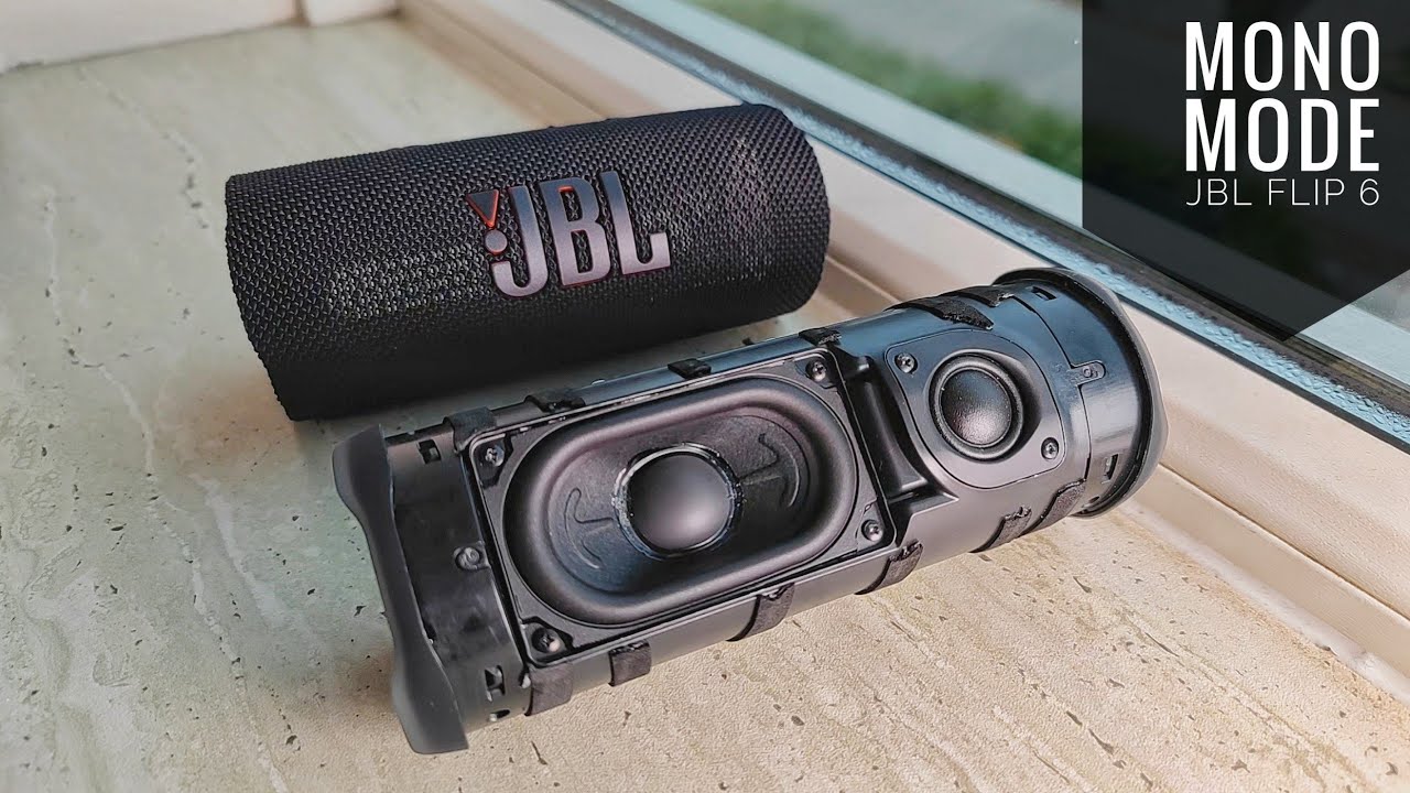 JBL Flip 6