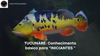 ' Tucunaré: Conhecimento basico para "INICIANTES "