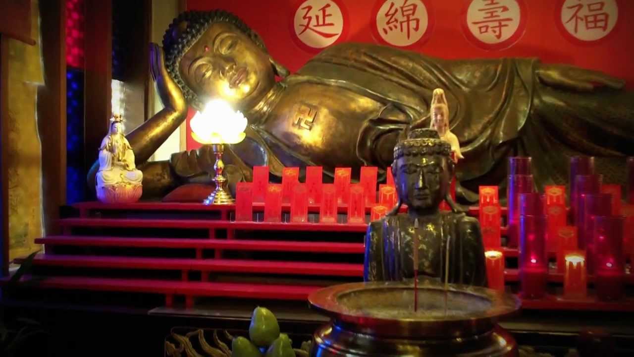 ►HDR-XR500V Camcorder w/Hague Mini Motion-Cam Stabilizer