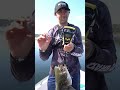 Don't Lie About Your Catch #Fishing #FishingVideos #FishingContent
