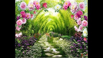 سورة الحجرات بصوت جميل جدا جدا هدوء ارح قلبك مع القران الكريم