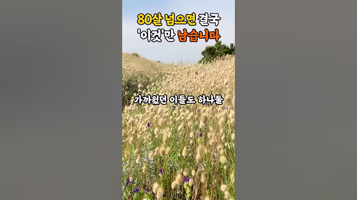 80살 넘으면 결국 이것만 남습니다 #명언 #조언 #지혜 #좋은글
