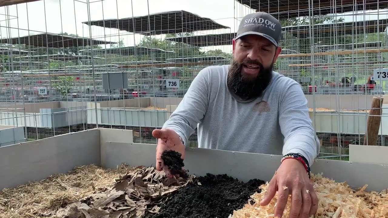 CAPSULA #1 - La Importancia de La Cama