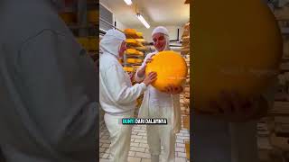 Kenapa Keju Ini Harus Dipukul?