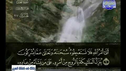 سورة النحل//لفضيلة الشيخ خالد القحطاني