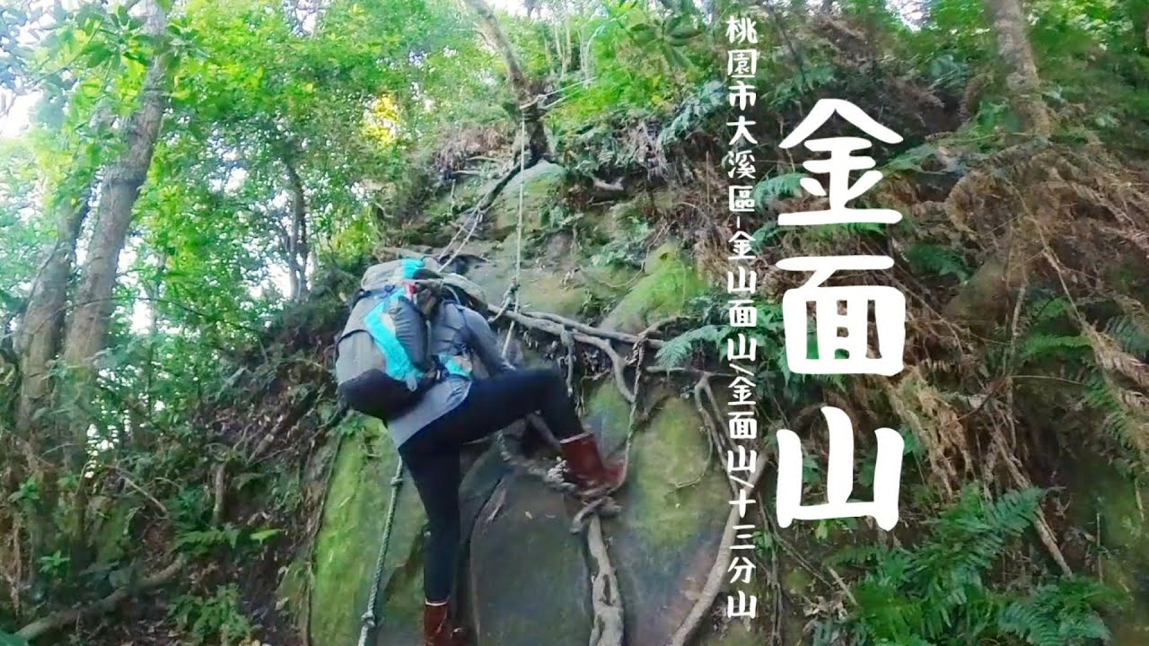 【金面山】桃園市大溪區也有座金面山，拉繩陡上爬上爬下，鑽樹過溪地形豐富，大O型路線走好走滿