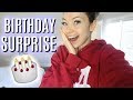 SPECIAL BIRTHDAY SURPRISE! | VlogsbyMeredith