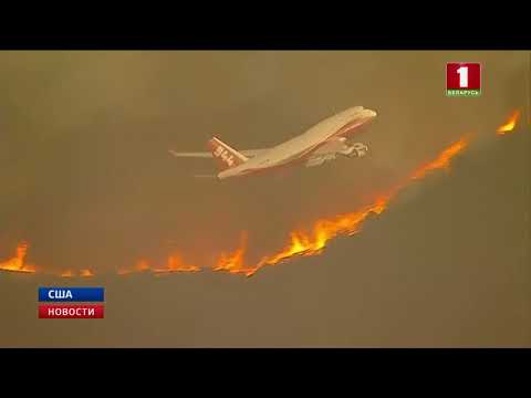 Лесной пожар в Калифорнии признан рекордным по масштабу за всю историю штата
