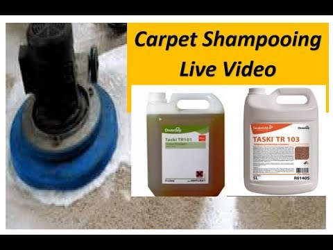 Carpet Shampooing Tr101 Tr103 Single Disk Machine  Carpet Shampooing Tr101 Tr103 Single Disk Machine