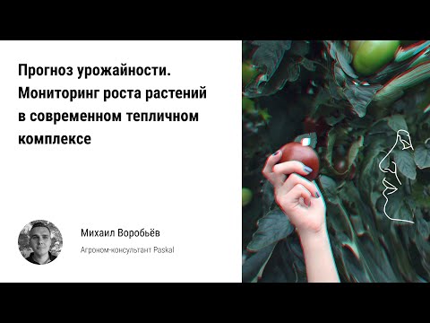 🏃 Прогноз урожайности. Система мониторинга, анализа роста растений в современном тепличном комплексе