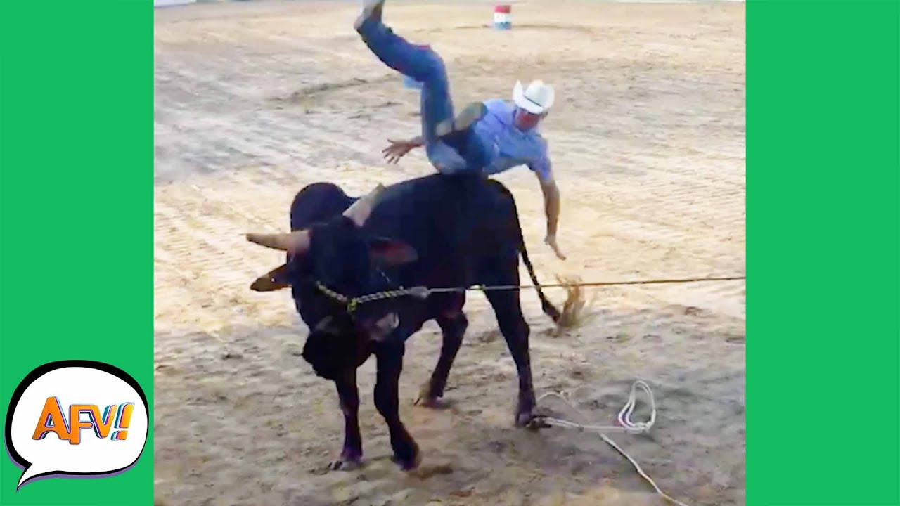 From COWBOY to Cow-OUCH! 😂 | Funny Fails | AFV 2021