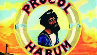 Download Lagu Procol Harum The Milk Of Human Kindness Karaoke MP3