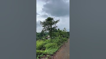 A Phong Kẹt Tiền Cần Bán Đất Vườn 1.199m2 có sẵn 240m2 Thổ Cư Ở Bà Rịa Vũng Tàu#shorts