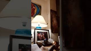 De Demieurg De Tijdlijnen En Kunstmatige Intelligentie