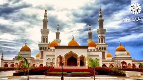 قل الحمد لله | اجمل حالات واتس اب قرآن كريم بصوت🤍🍂☘️