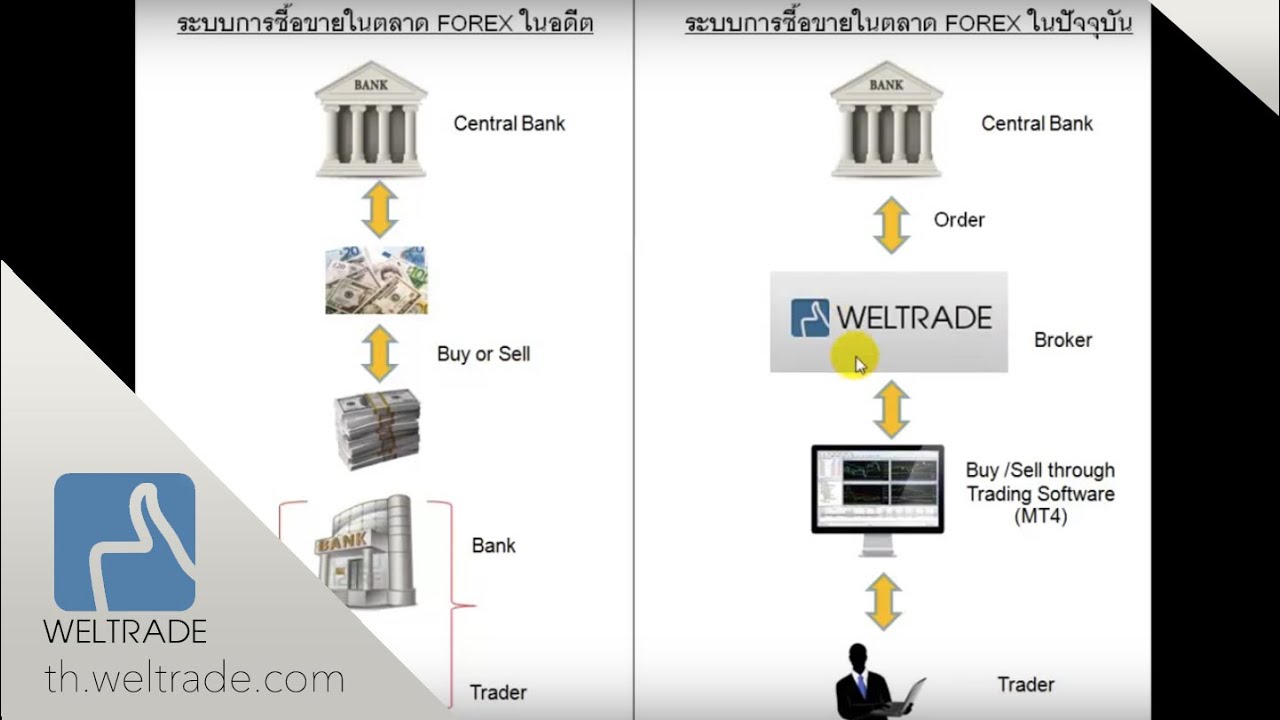 Forex system ( ระบบของการเทรด FOREX )