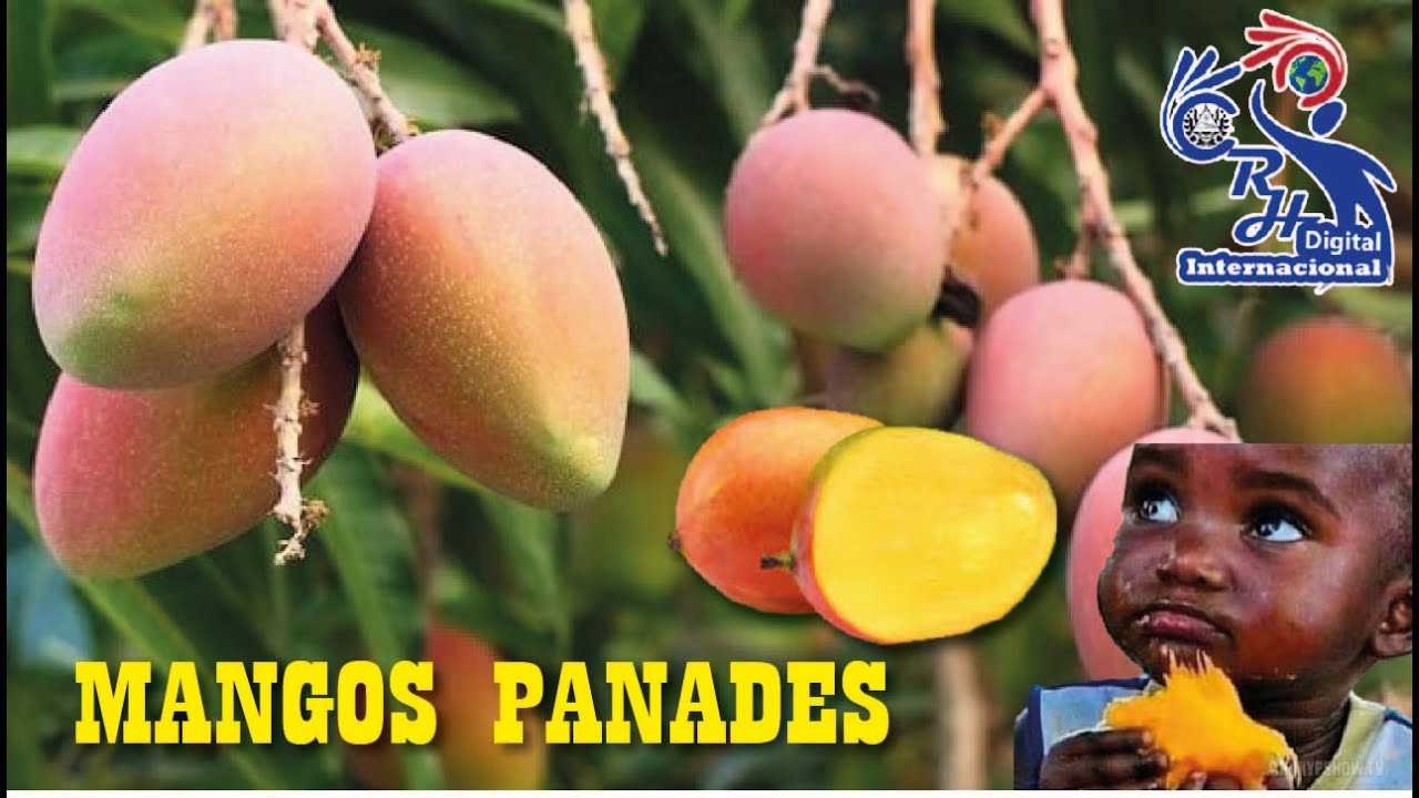 CHICAS RH SE ENCUENTRAN CON MANGOS PANADES Y OTRAS FRUTAS elsalvador
