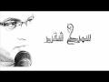 سميح شقير لو يوم تنادينا يا الوطن سميح شقير لو يوم تنادينا يا الوطن
