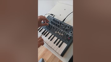 Arturia Microbrute Sequencer and Filter Demonstration