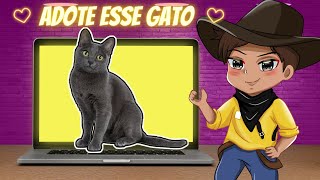 Tenho Um Abrigo De Gatinhos (Animal Shelter)