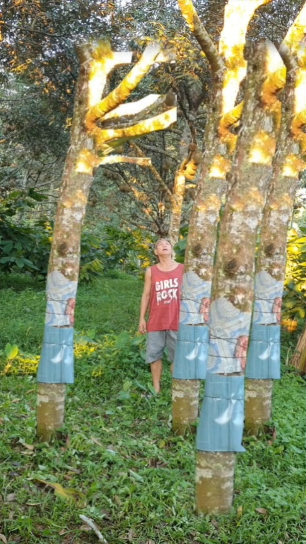 The Magical Tree Is Multiplying That Is Impossible #magic #entertainment #shortvideo